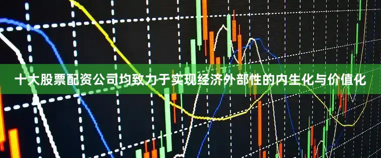 十大股票配资公司均致力于实现经济外部性的内生化与价值化