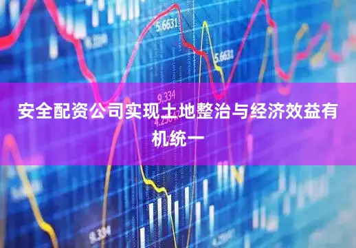 安全配资公司实现土地整治与经济效益有机统一